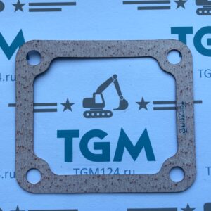 3032161-3001306-gasket