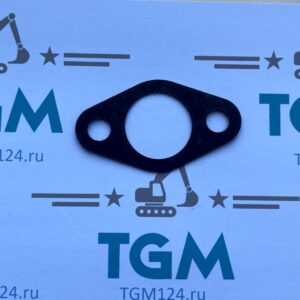 3010926-gasket