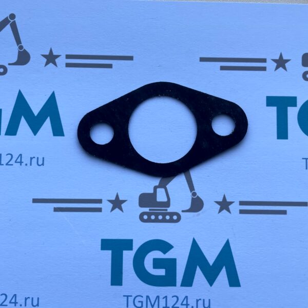 3010926-gasket